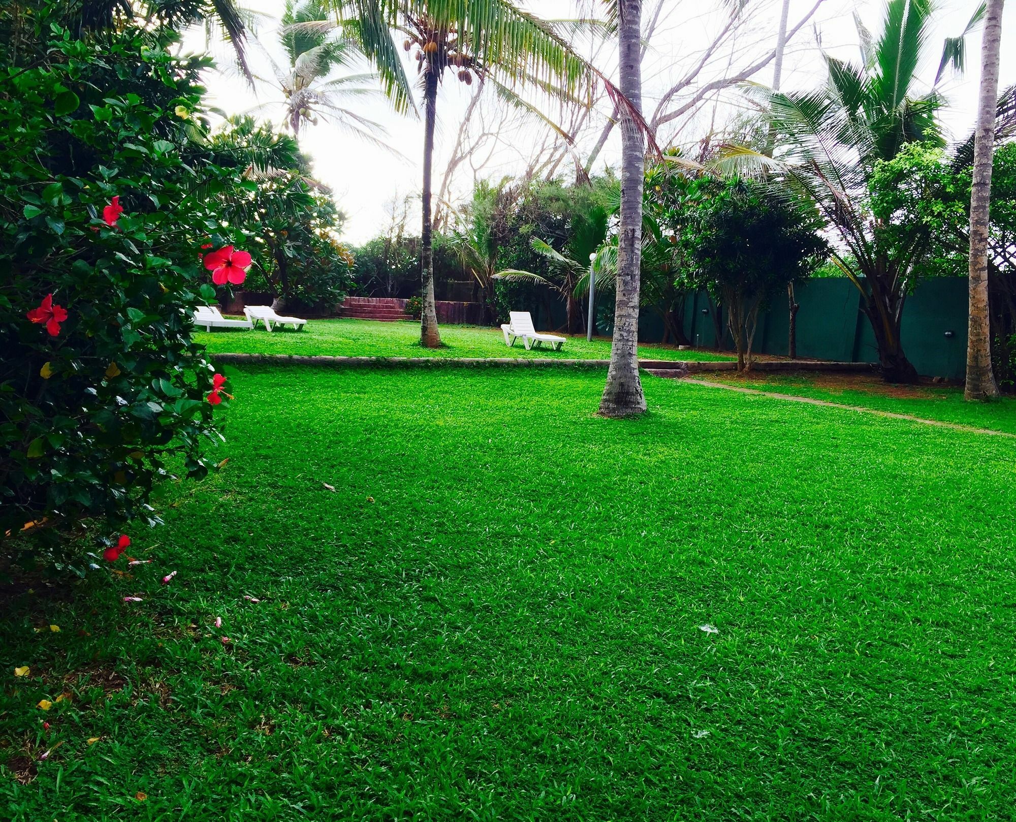 Ziegler Cottage Negombo Exterior foto